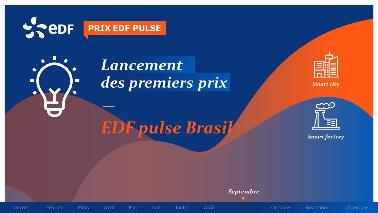 EDF - Rétrospective annuelle