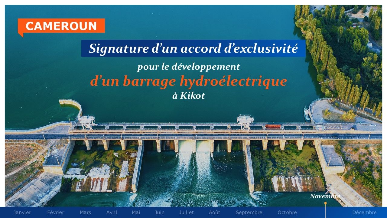 EDF - Rétrospective annuelle