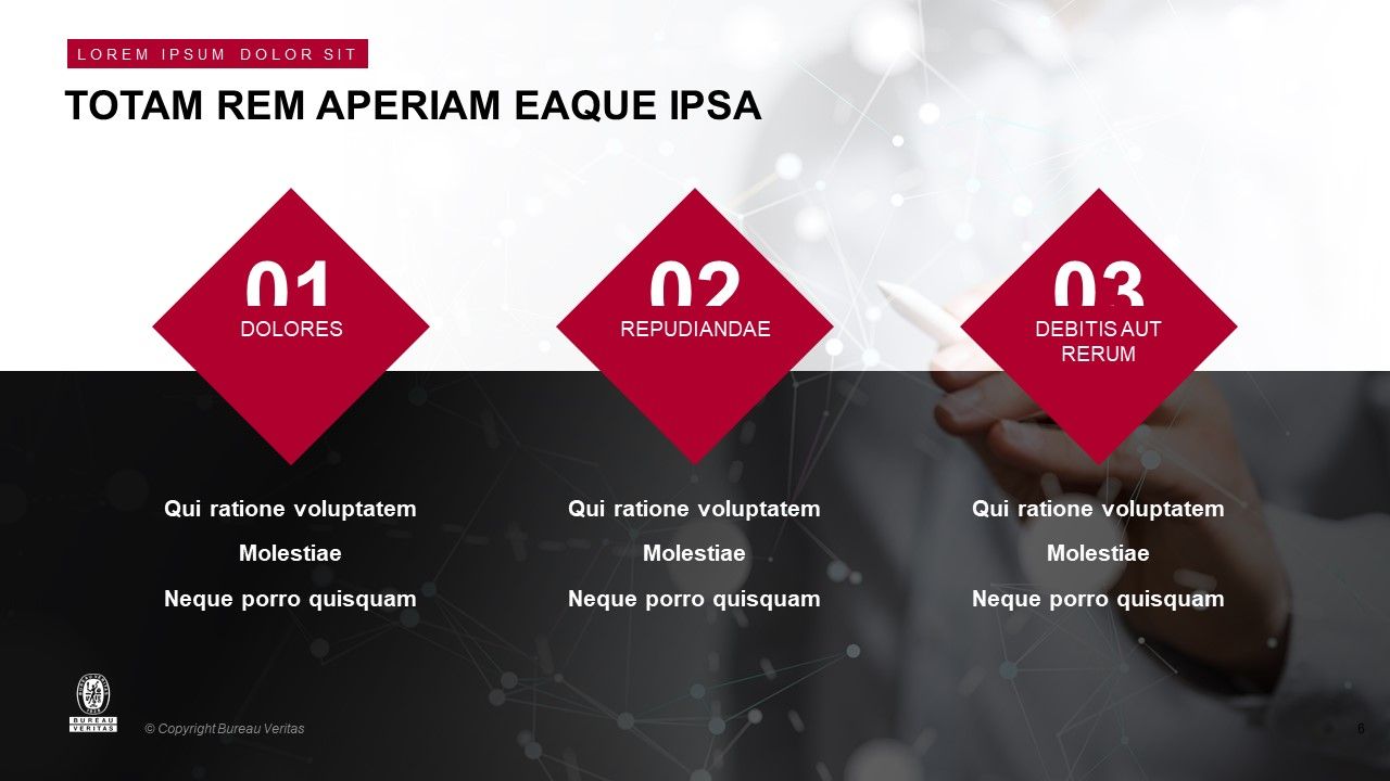 Bureau Veritas - Investor Trip