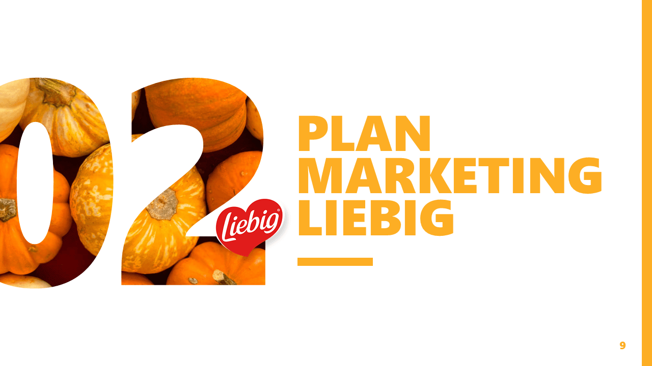 GB Food - Présentation de la catégorie Liebig et Royco