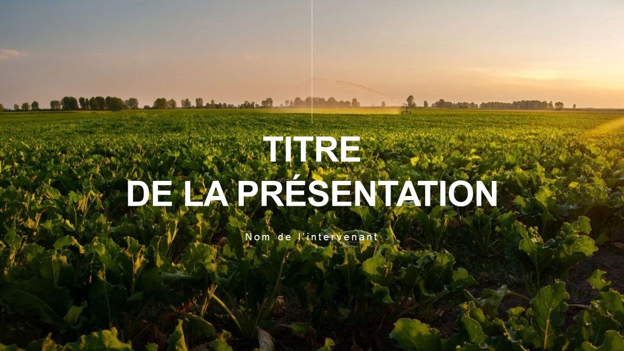 Tereos - Masque Groupe