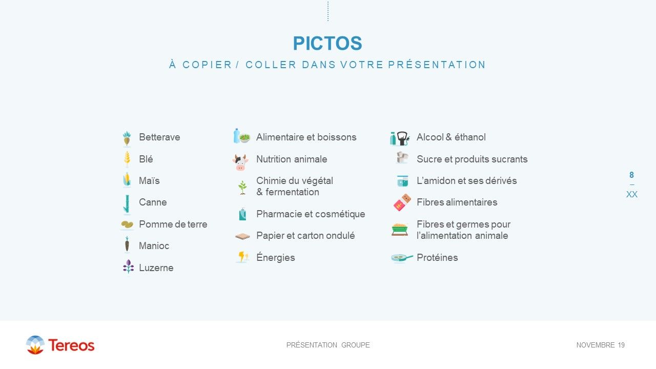 Tereos - Masque Groupe